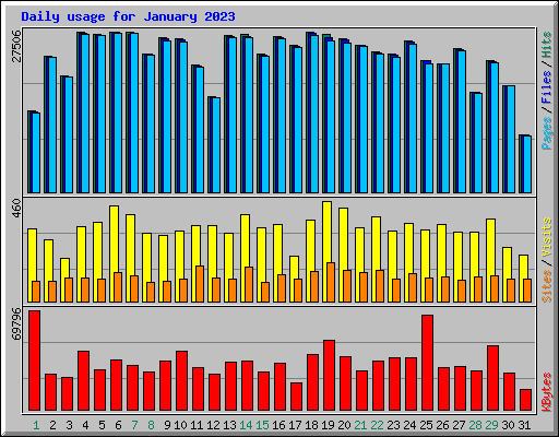 Daily usage for January 2023