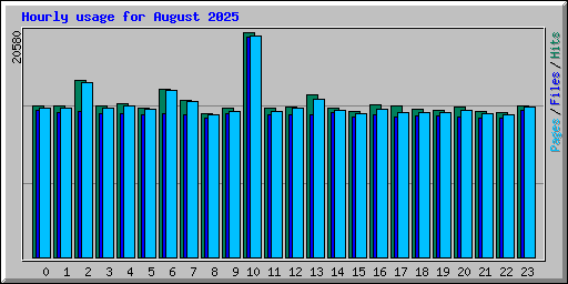 Hourly usage for August 2025