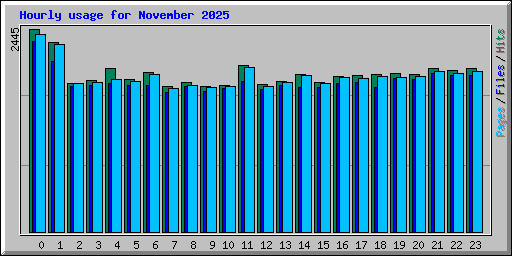 Hourly usage for November 2025