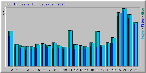 Hourly usage for December 2025