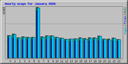 Hourly usage for January 2026